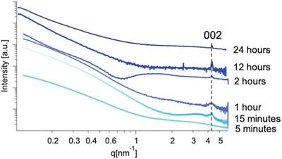 Investigation of Nucleation and Growth at a Liquid–Liquid Interface by Solvent Exchange and Synchrotron Small-Angle X-Ray Scattering